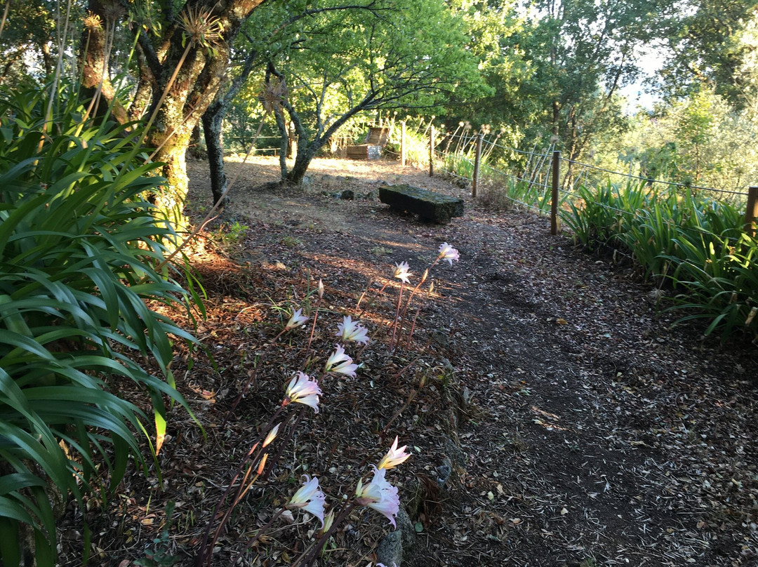 Casa do Cabeco主图