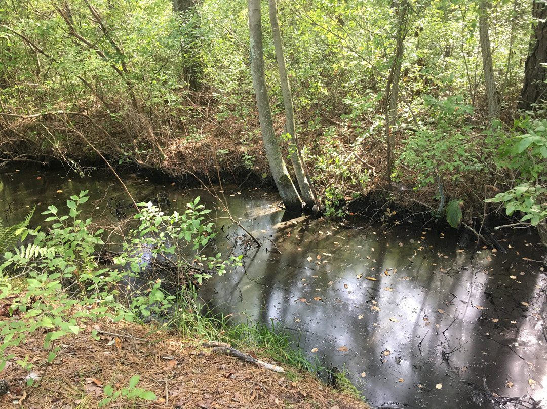 Black Run Preserve-Evesham必去景点