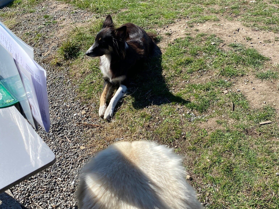 Hotel la Duchesse Anne主图