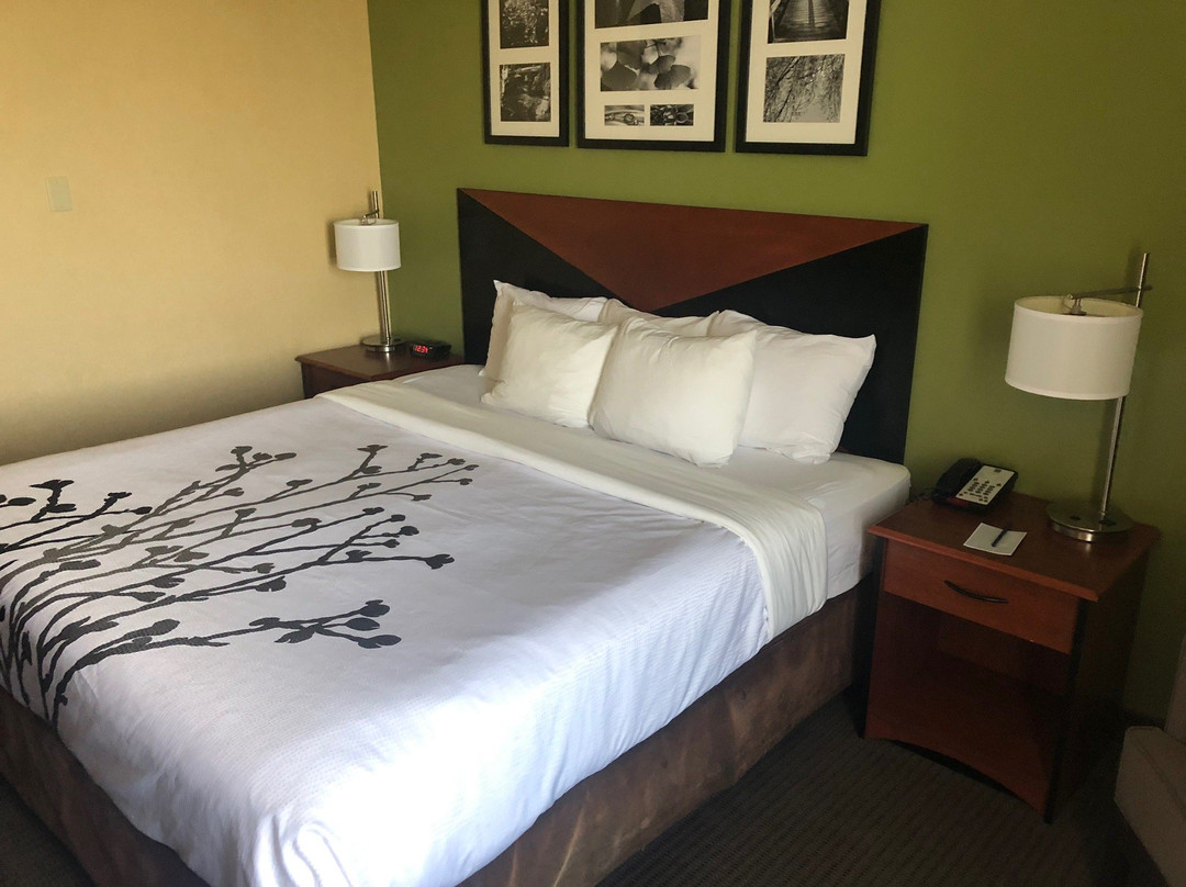 Sleep Inn & Suites主图