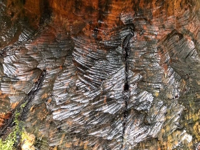 Scottish Beaver Trail-Lochgilphead必去景点