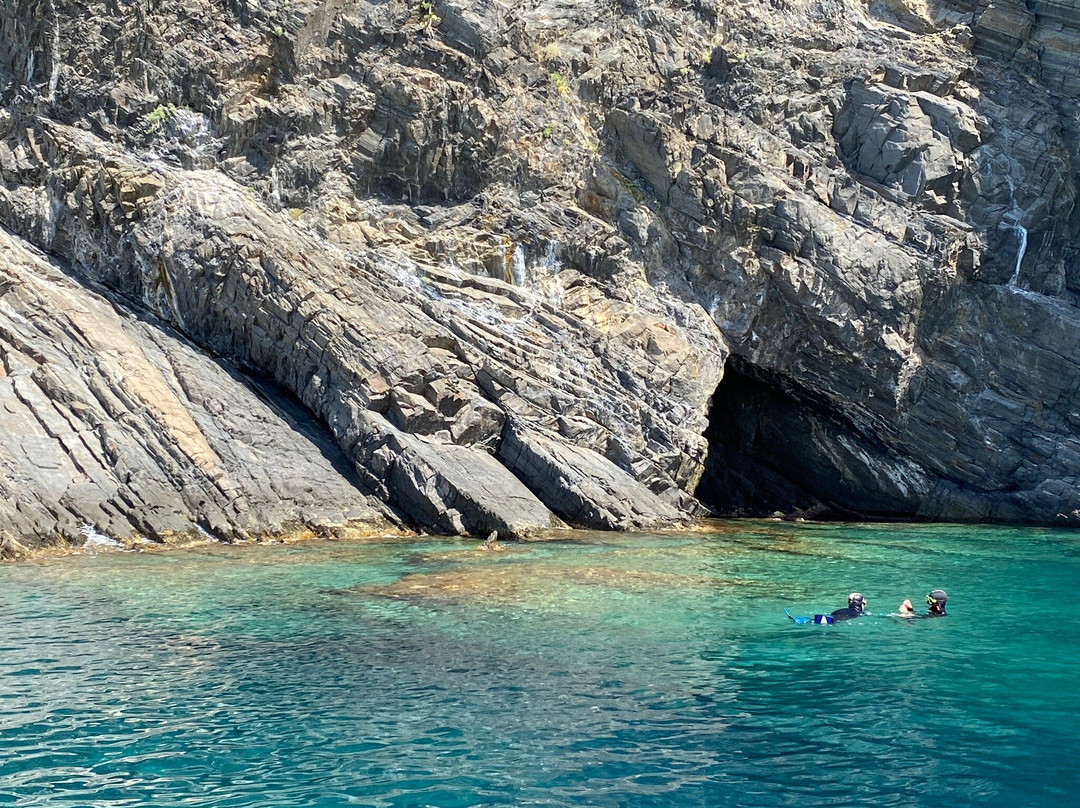 Aloes Plongee-Cerbere必去景点