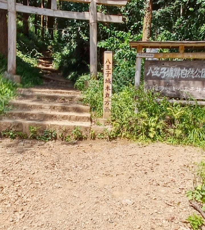 Hachioji Castle Remains-八王子市必去景点