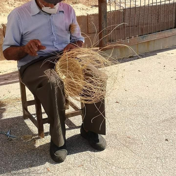 Mercadillo Campo de Guardamar del Segura景点图片