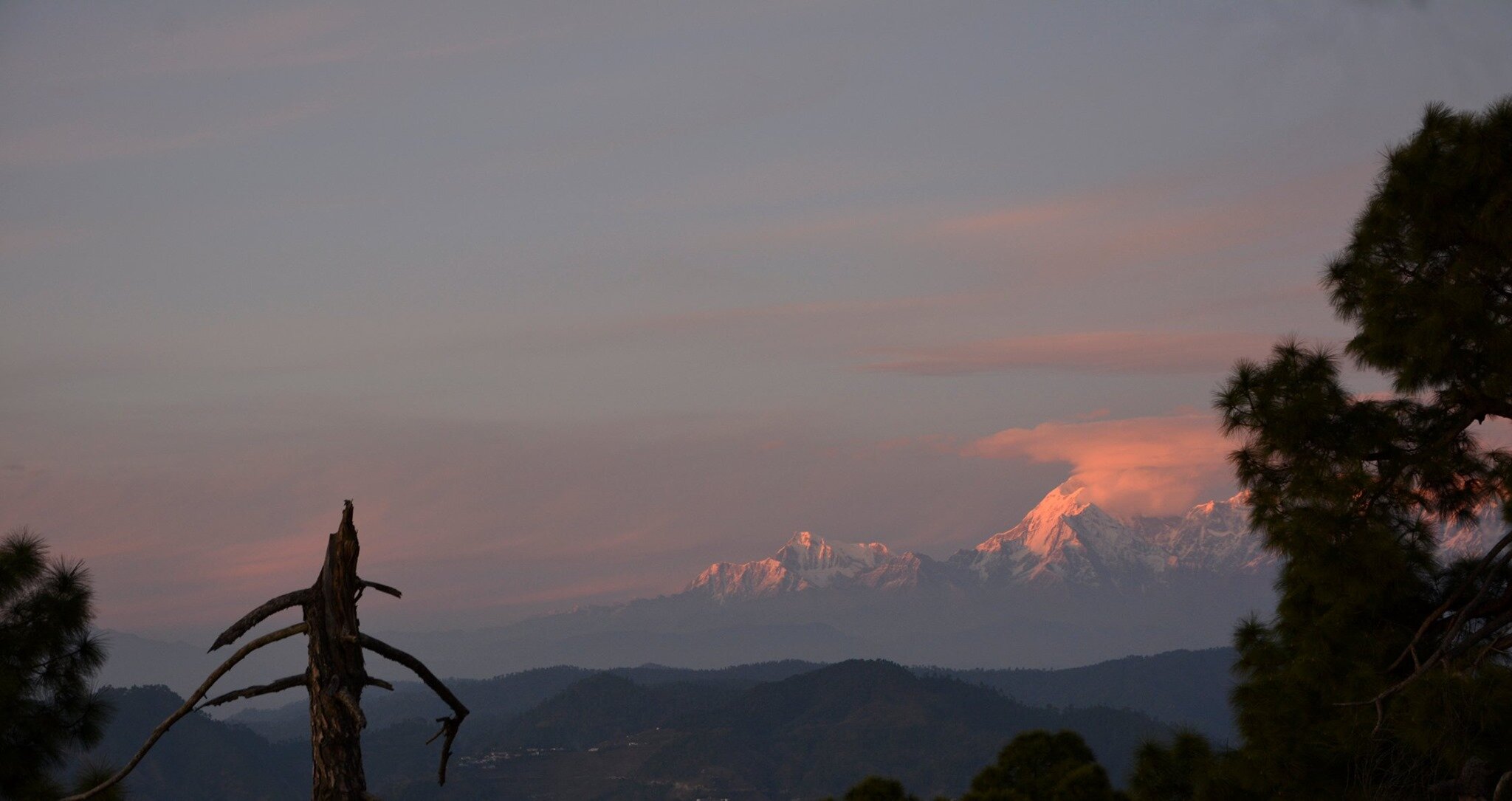 Mohan's Binsar Retreat-官方