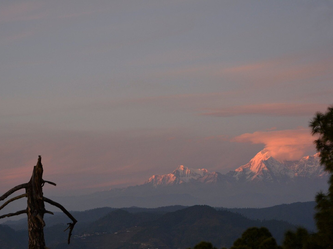 Mohan's Binsar Retreat主图