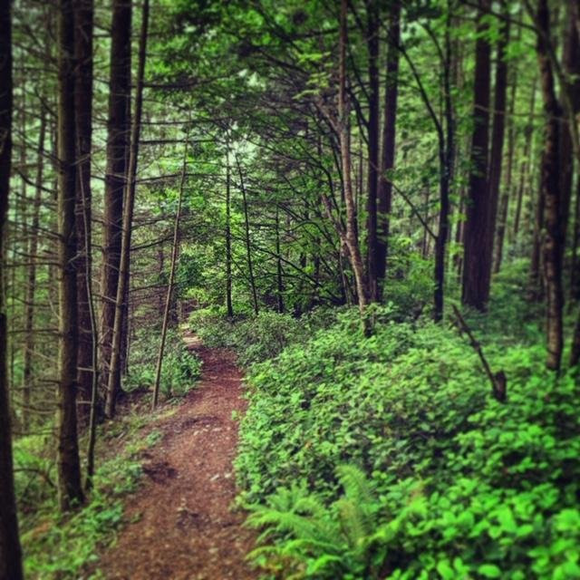 Watershed Park景点图片