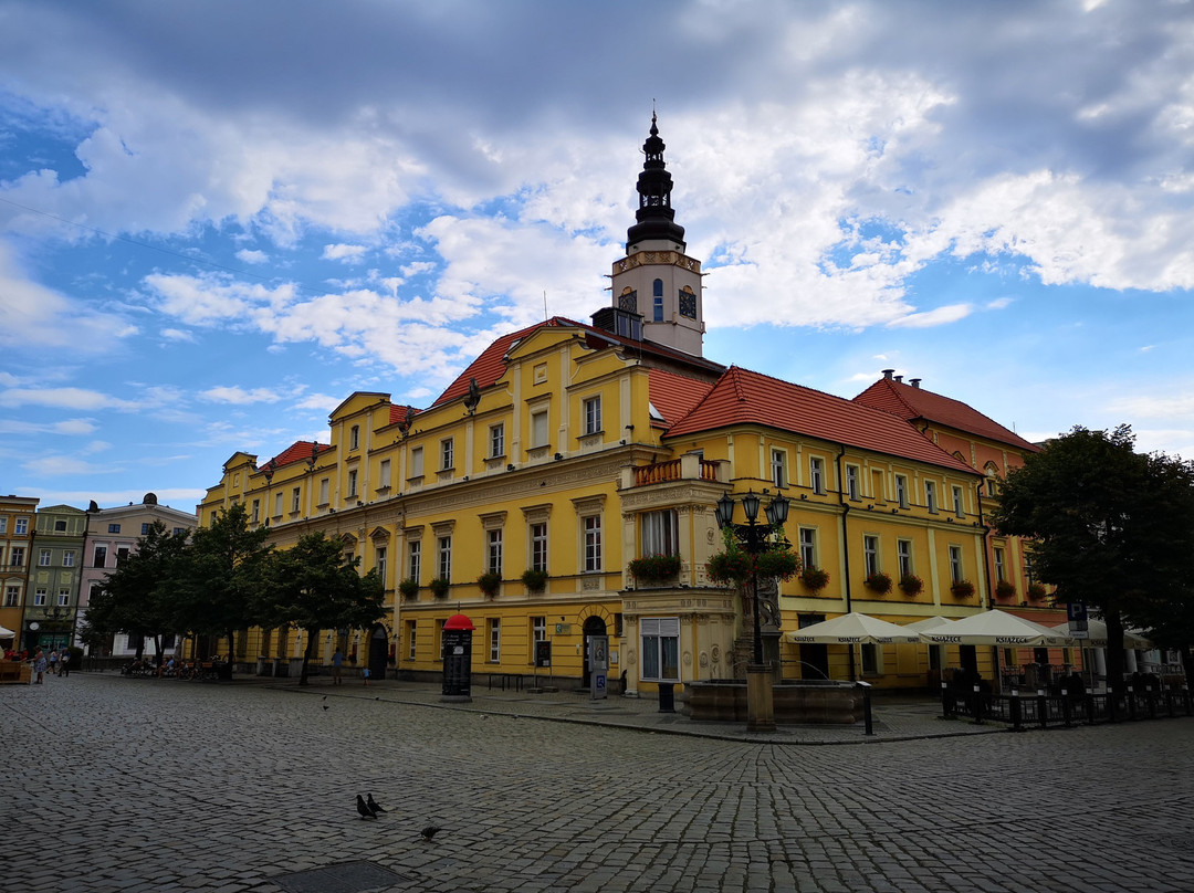 Town Hall, Swidnica (Ratusz w Swidnicy)-Swidnica必去景点