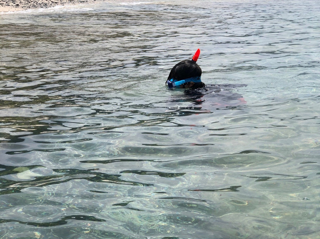 Ohama Seaside Park-奄美市必去景点