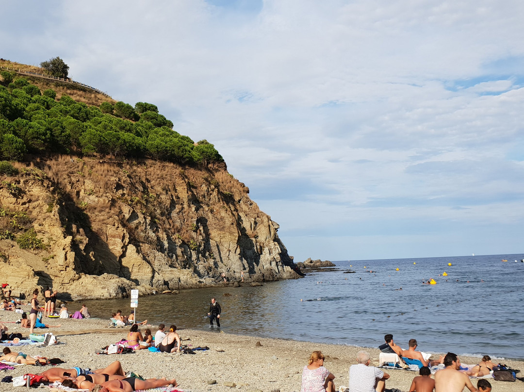 Le Sentier Sous-Marin de Cerbère-Banyuls-Cerbere必去景点