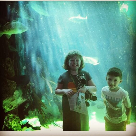Macduff Marine Aquarium-Macduff必去景点