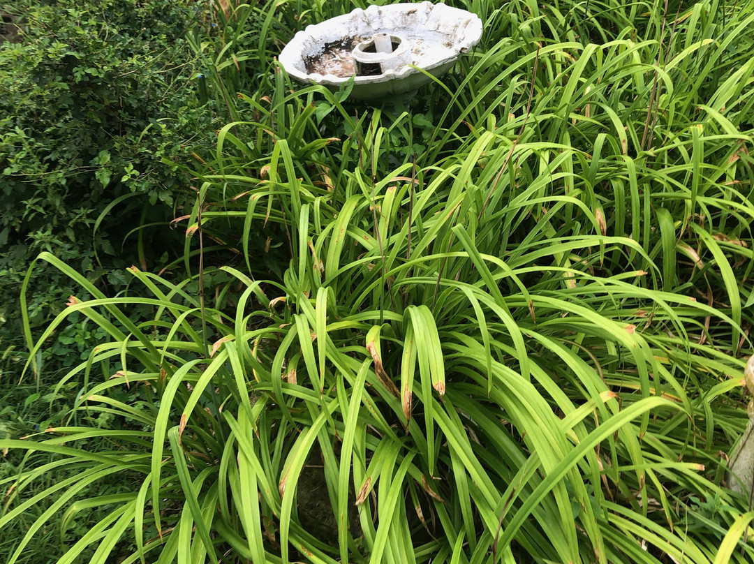 Victorian Mansion主图