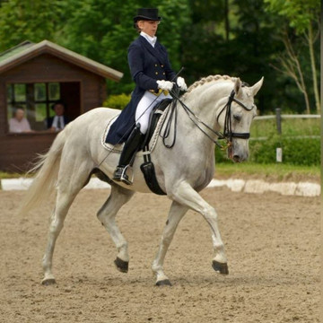 Gut Moschenhof主图