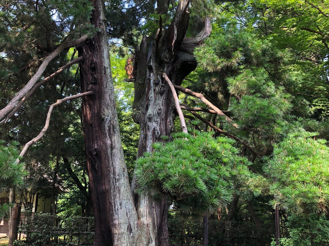 Heirin-ji Temple-新座市必去景点