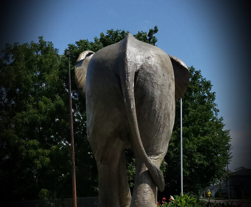 Jumbo The Elephant Monument景点图片