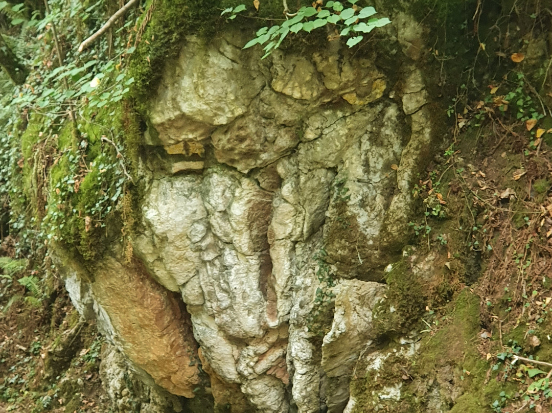 Ruta del Beyu Pen-Amieva必去景点