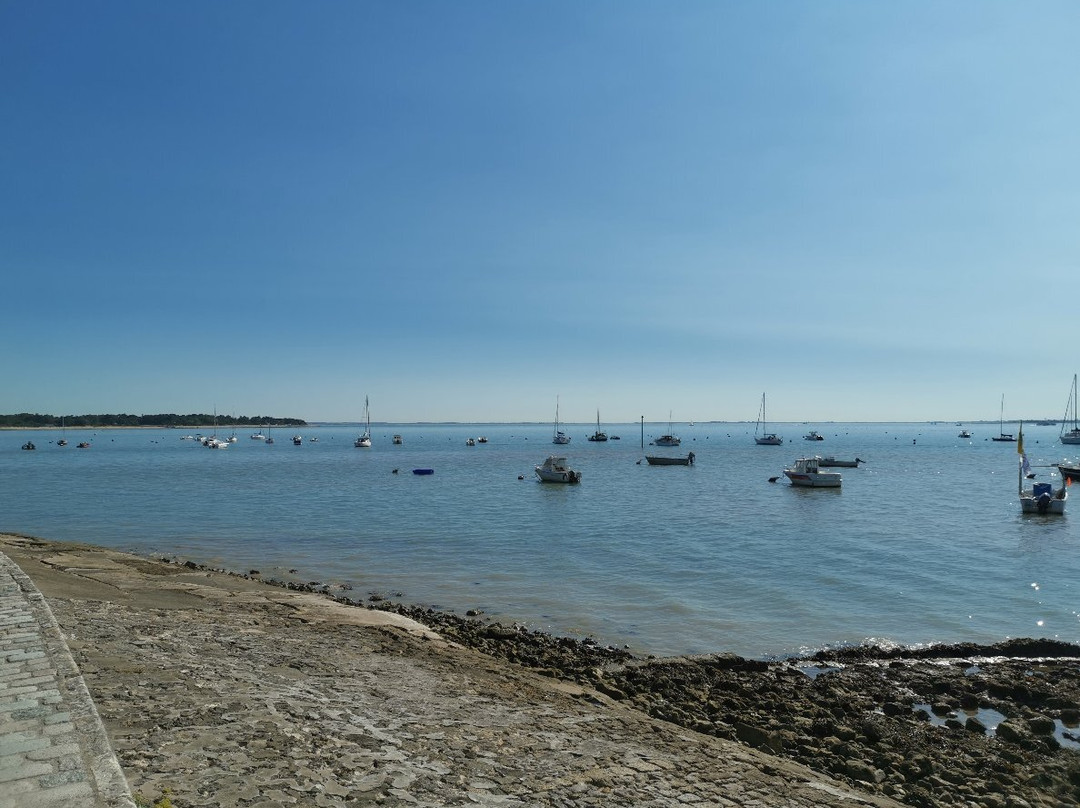 Croisieres Fourasines-Port-des-Barques必去景点