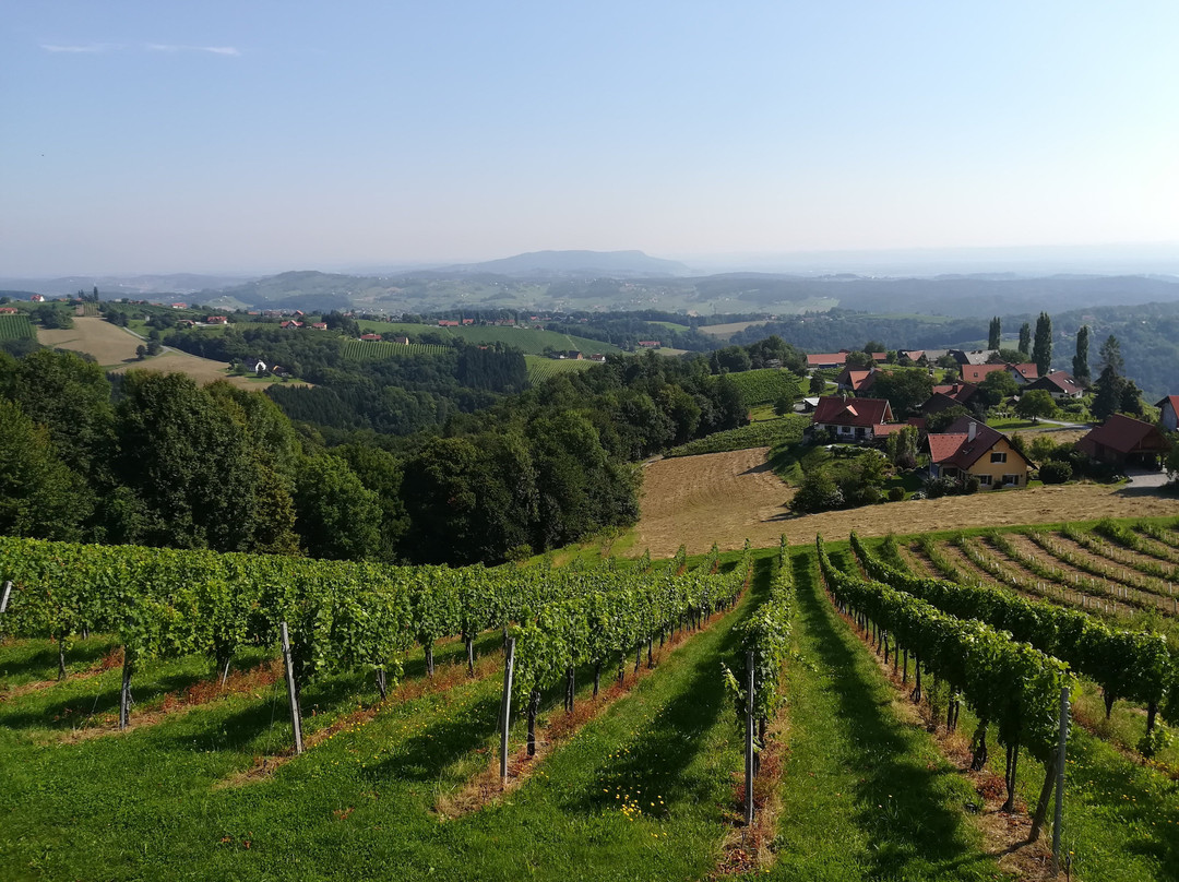 Sausaler Weinstraße