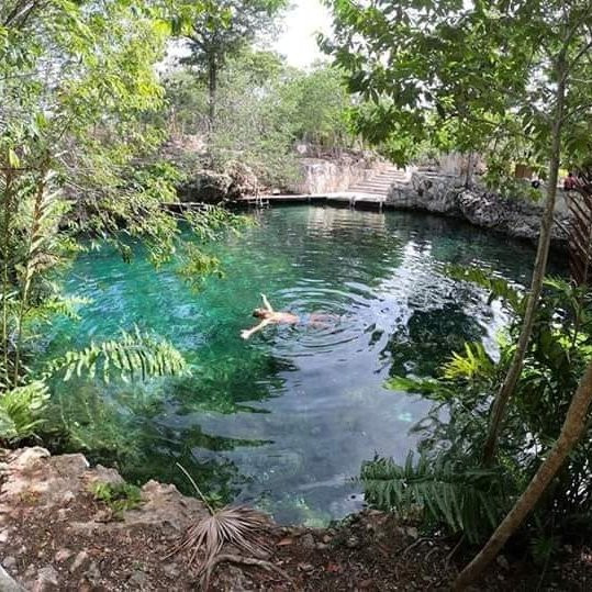 Cenotes Casa Tortuga Tulum景点图片