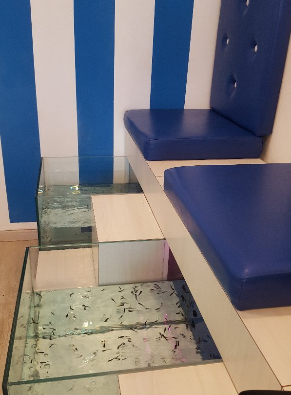 Dottor Fish Rimini-里米尼必去景点