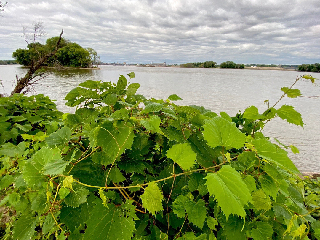 Credit Island-达文波特必去景点