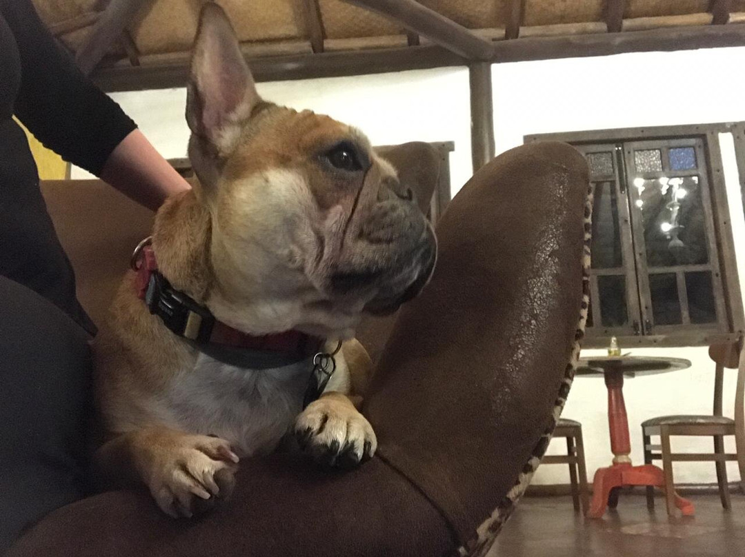 Pousada Pegada da Onca主图