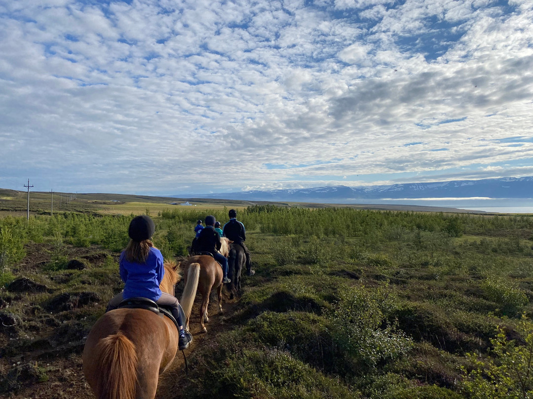 Saltvik-胡萨维克必去景点