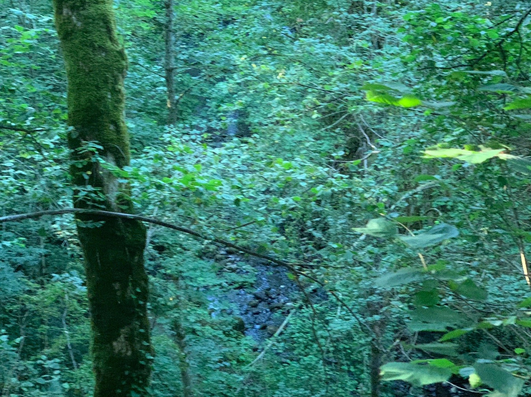 Cascade Des Saliens景点图片