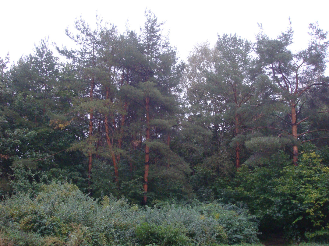 Landscape Reserve Tyoply Stan-莫斯科必去景点