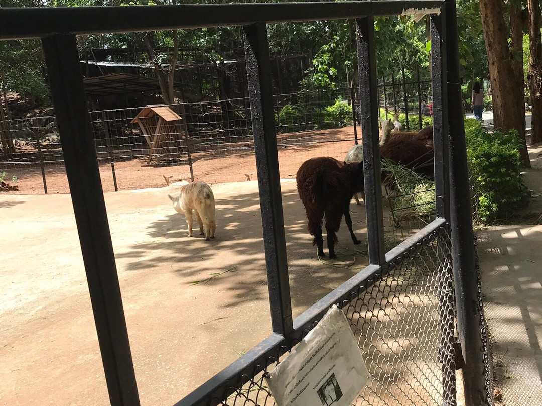 The Bonanza Exotic Zoo景点图片