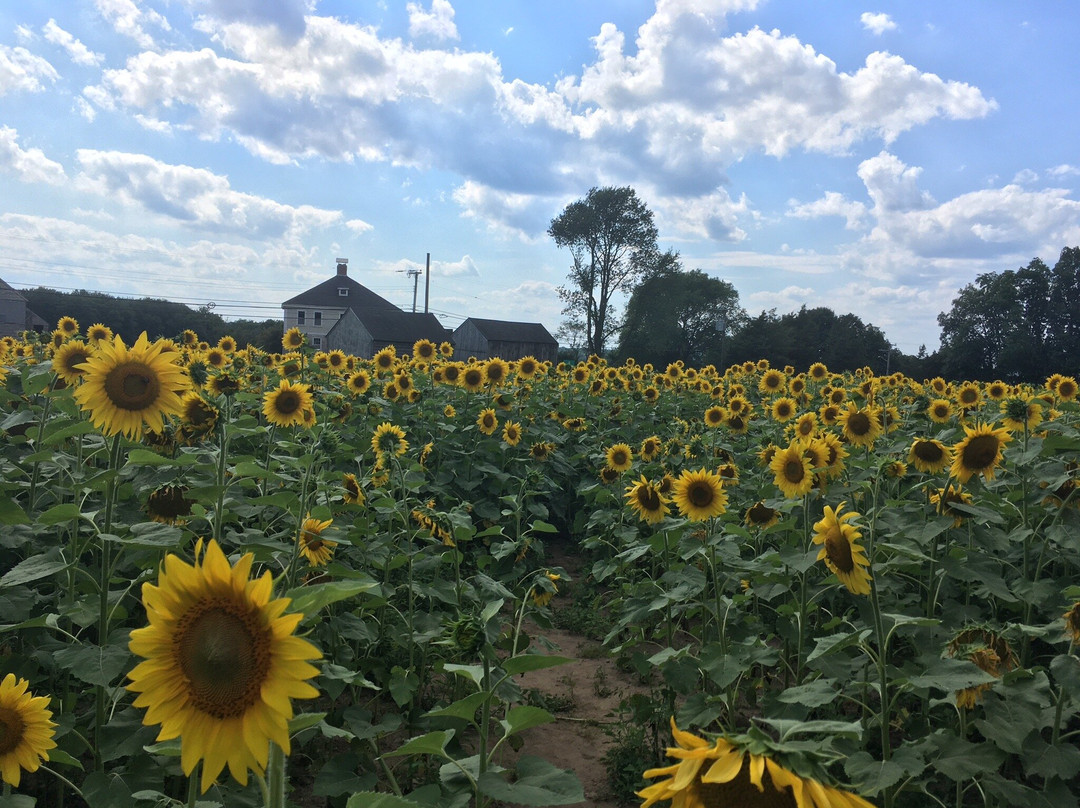 Buttonwood Farm-Griswold必去景点