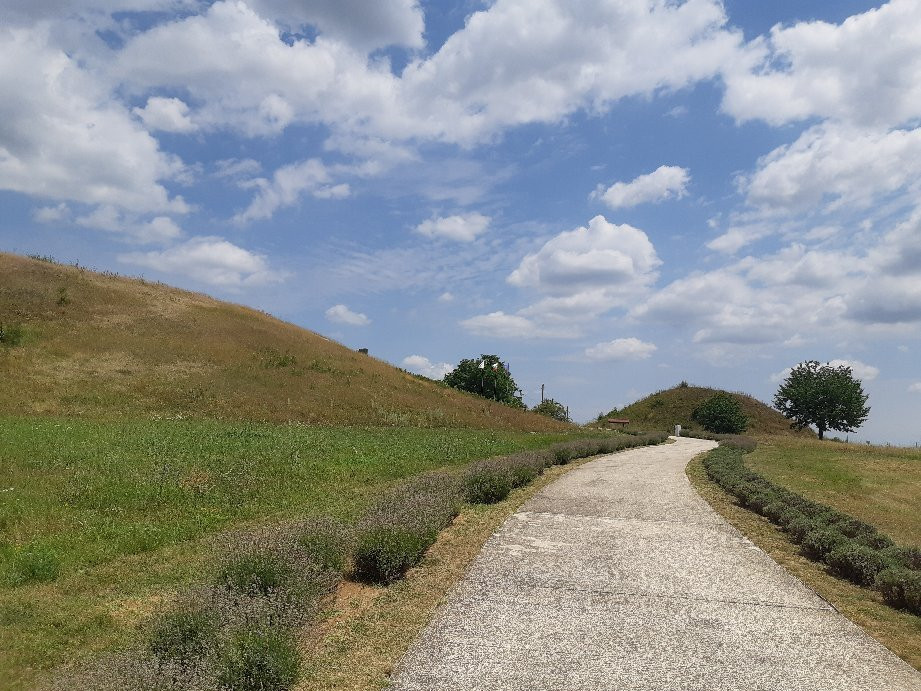斯韦什塔里的色雷斯人墓景点图片