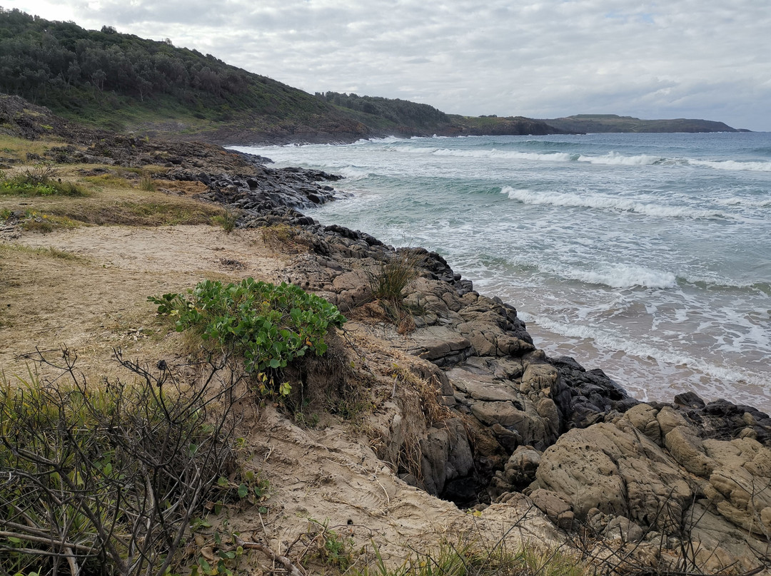 Killalea Regional Park景点图片