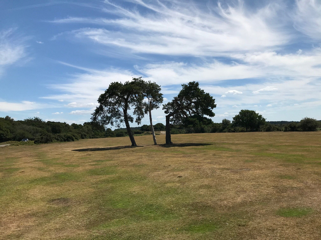 The Burley Golf Club景点图片