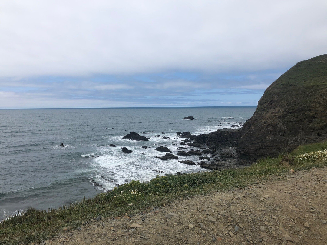 Welcombe Mouth Beach-Welcombe必去景点