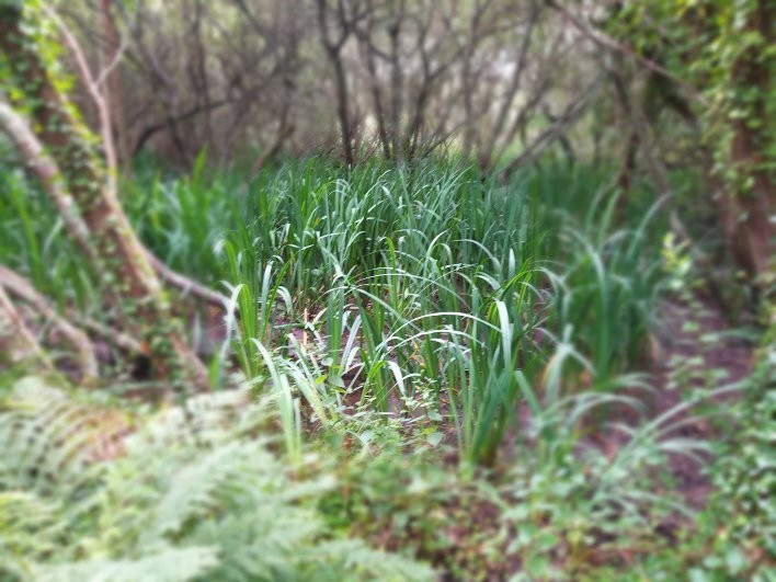 Marais du Quellen-Trebeurden必去景点