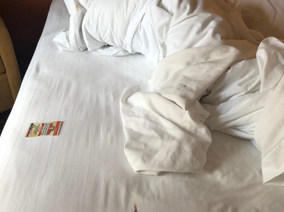 瑟普莱斯戴斯旅馆&套房酒店主图