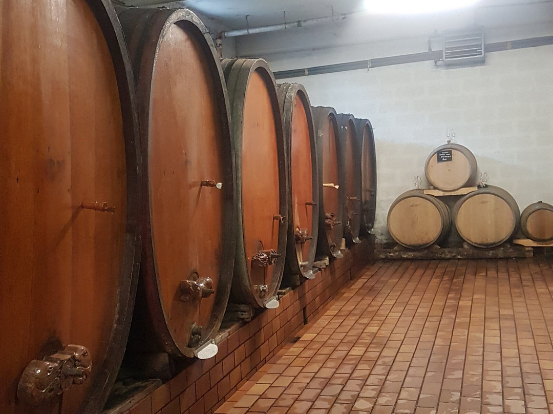 Domaine Riefle-Pfaffenheim必去景点