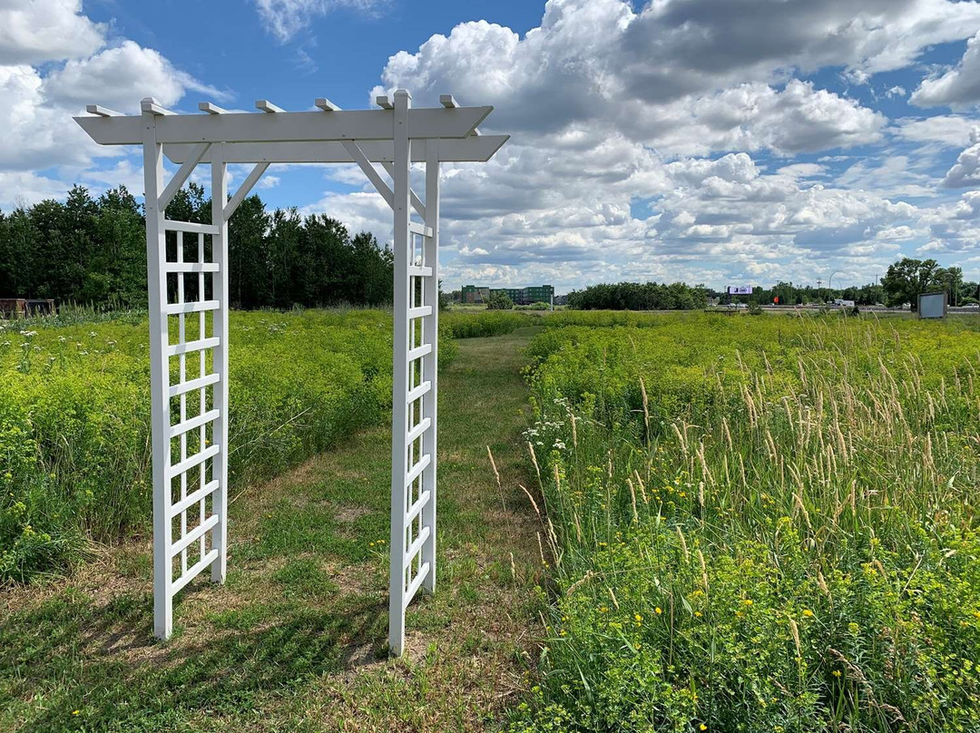 舒尔维尔江山旅馆&套房酒店主图