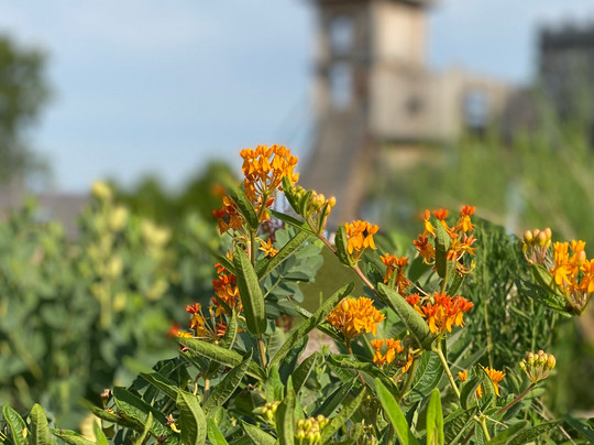 Covington旅游攻略图片