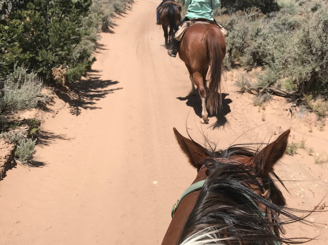 Hondoo Rivers and Trails-托里必去景点