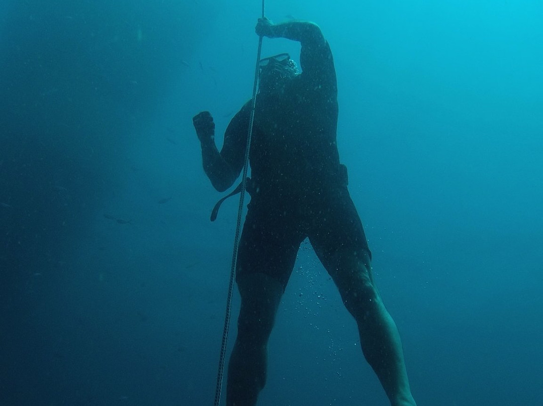 Apnea Koh Phangan Freediving School-帕岸岛必去景点
