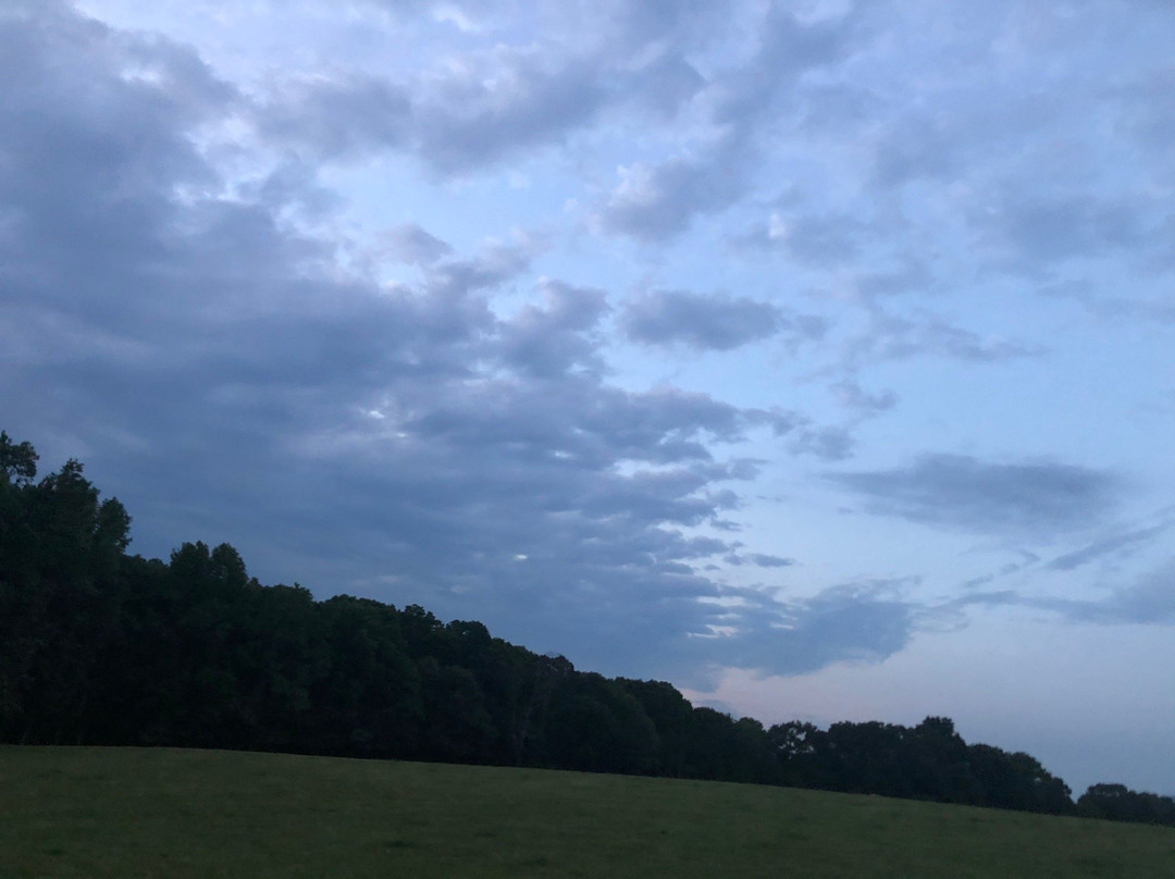 Castle Glen Winery-多斯韦尔必去景点