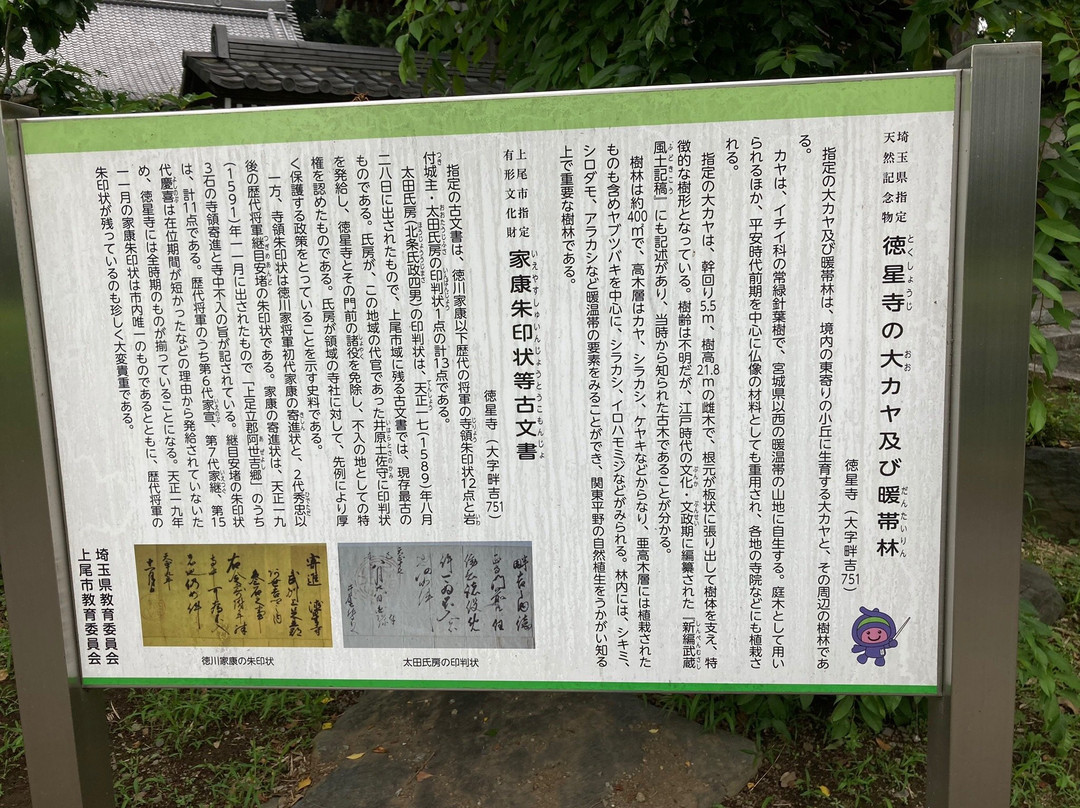 Tokusho-ji Temple-上尾市必去景点