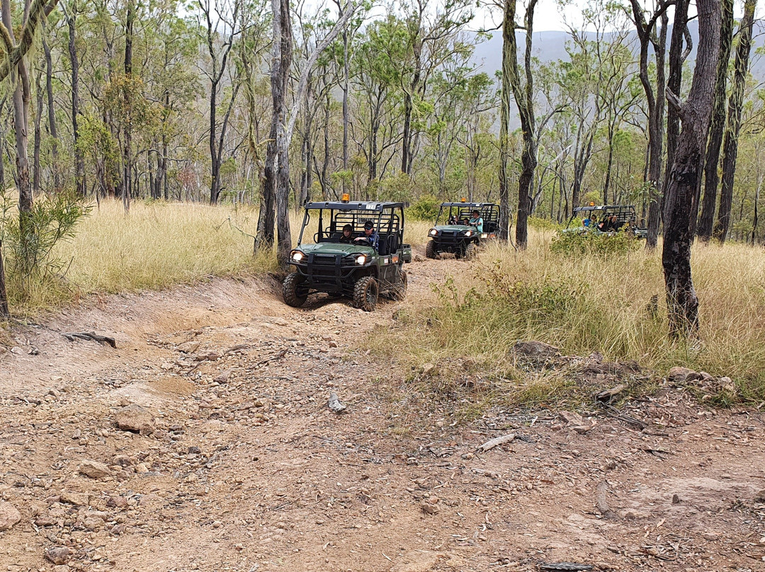 Oz Buggy Tours-Kingaham必去景点
