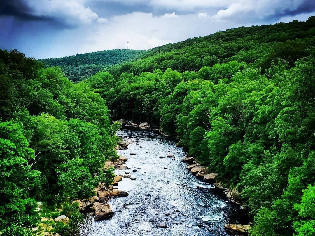 Ohiopyle State Park景点图片