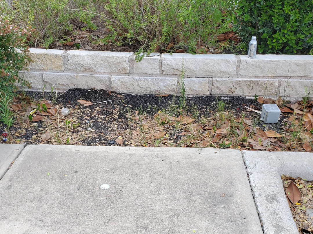 Holiday Inn Express & Suites Austin Ne - Hutto By IHG主图