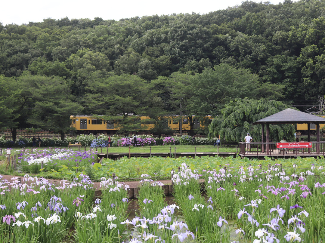 Kitayama Park-东村山市必去景点