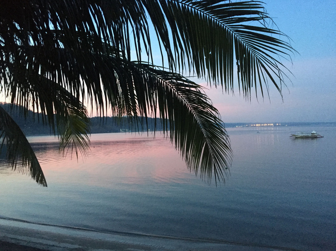 Mango's Beachfront Resort主图