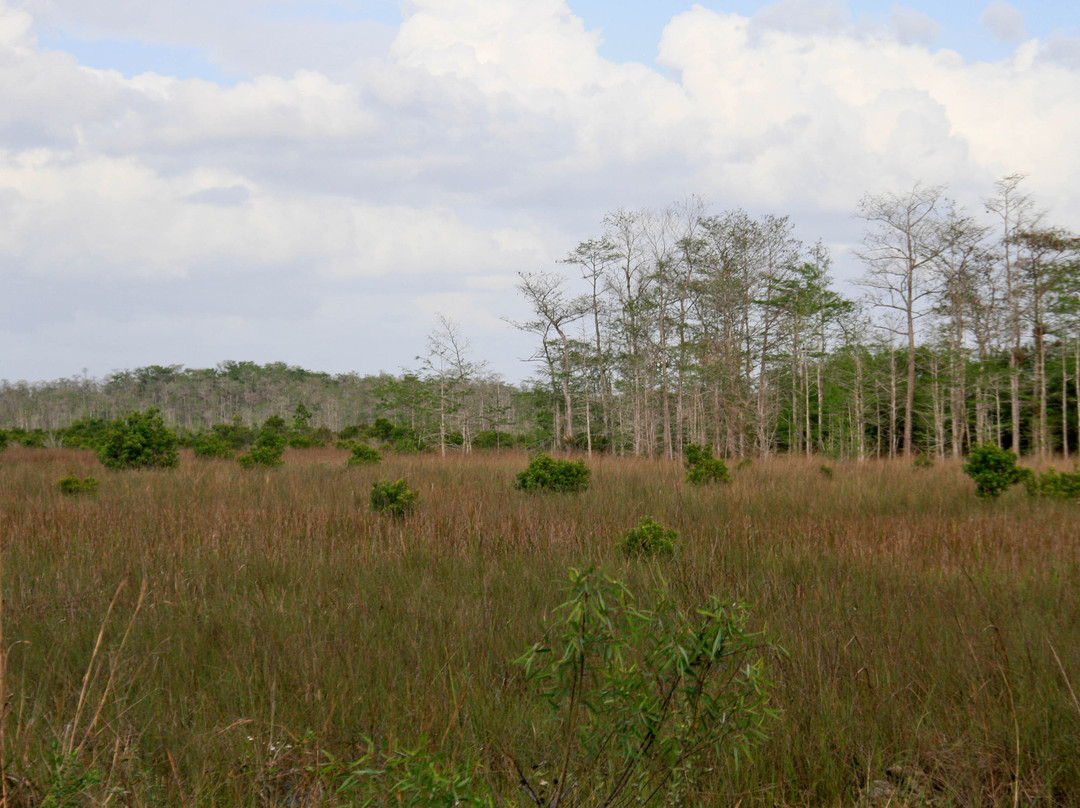 Big Cypress Swamp Welcome Center-奥乔皮必去景点